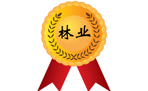 林業(yè)工程各專(zhuān)業(yè)高級(jí)工程師成果獎(jiǎng)勵(lì)