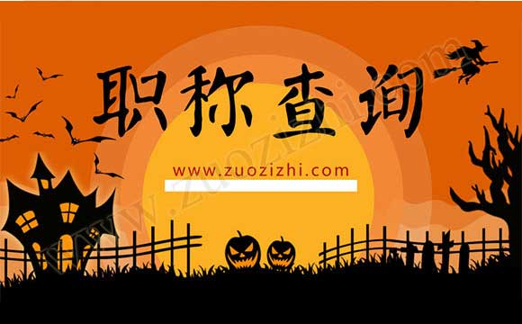 中級(jí)職稱網(wǎng)上查詢