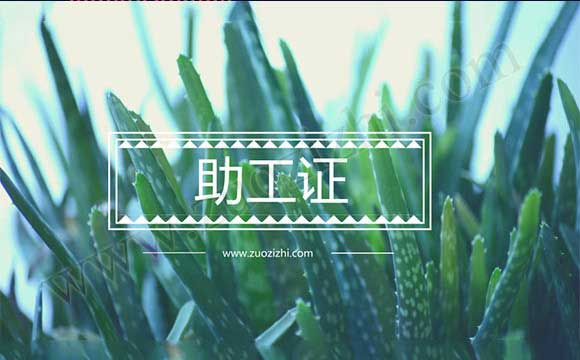 助理工程師更高級是什么 怎么評助理工程師