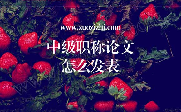 中級職稱論文發(fā)表價格 中級職稱論文怎么發(fā)表