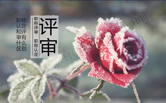職稱認(rèn)定和評(píng)審有什么區(qū)別 職稱認(rèn)定和評(píng)審哪個(gè)好