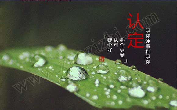 職稱認(rèn)定和評(píng)審哪個(gè)好 職稱認(rèn)定和評(píng)審哪個(gè)更受認(rèn)可