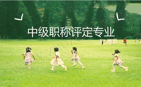 中級(jí)職稱評(píng)定專業(yè) 中級(jí)工程師外單位使用價(jià)格