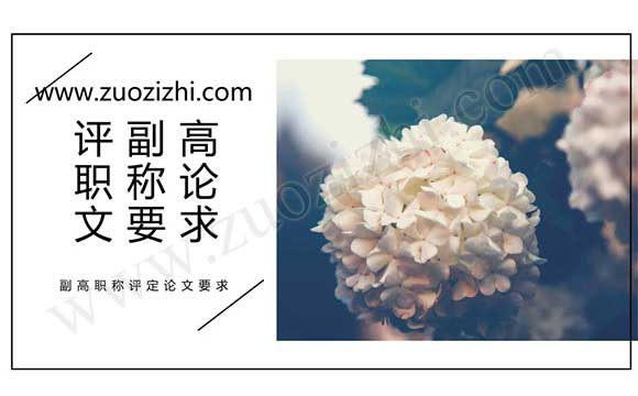 評副高職稱論文要求 副高職稱評定論文要求