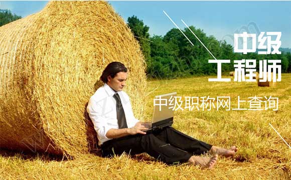 中級職稱網上查詢