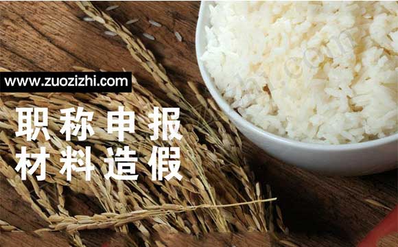 初級會(huì)計(jì)免考 職稱申報(bào)材料造假