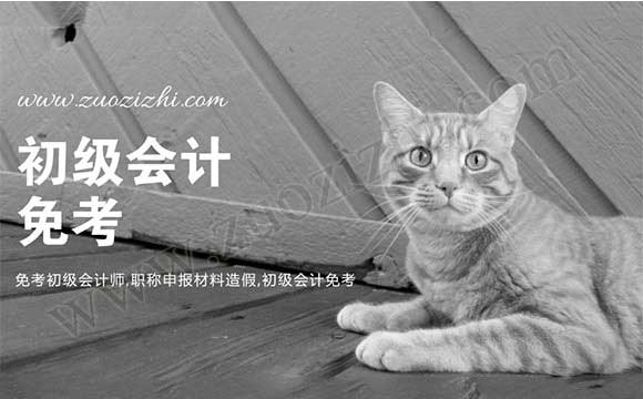 免考初級會(huì)計(jì)師 初級會(huì)計(jì)免考