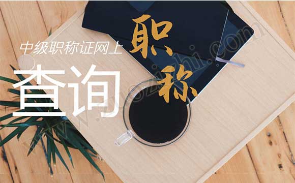 中級(jí)職稱證網(wǎng)上查詢