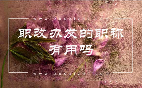 職改辦發(fā)的職稱有用嗎