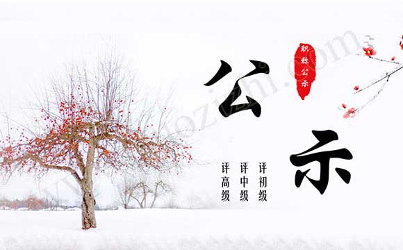 高級職稱評審?fù)ㄟ^公示名單