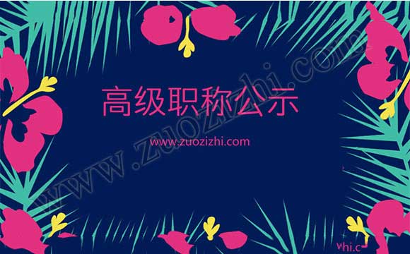 高級(jí)職稱公示