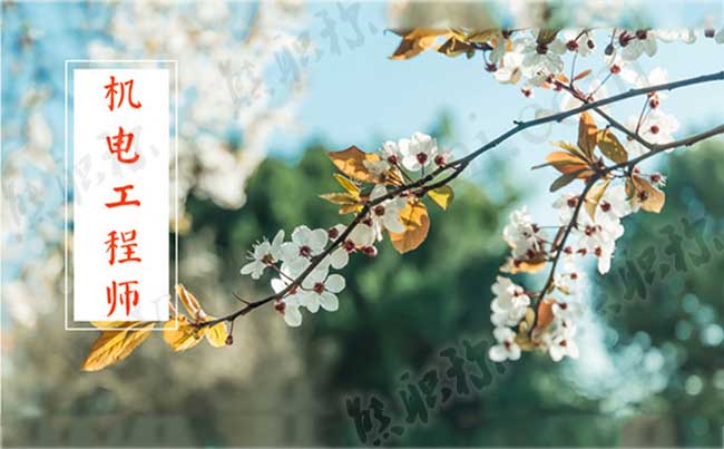 評審機電工程師 評審機電工程師全國通用嗎