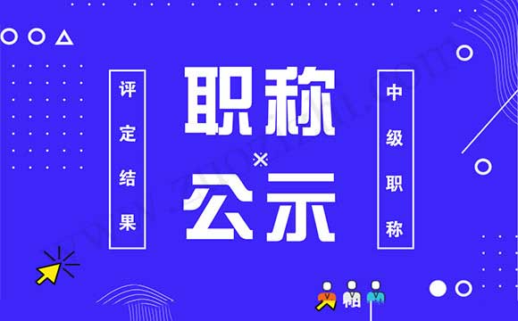中級職稱評定結(jié)果