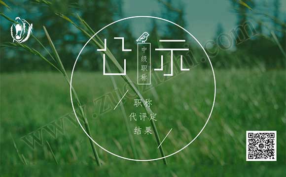 職稱評(píng)審結(jié)果 職稱代評(píng)定結(jié)果