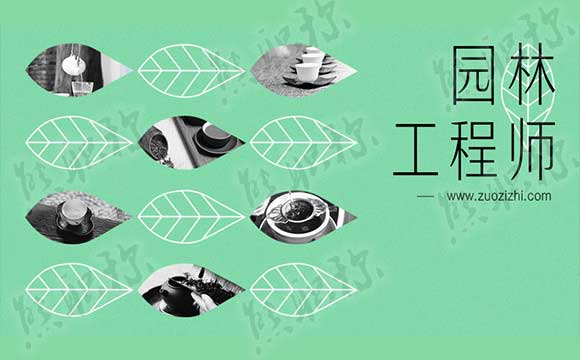 1562676968868116.jpg 03215615.jpg