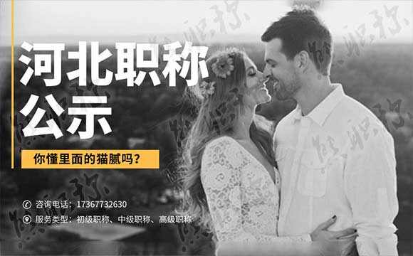 職稱評(píng)審公示要求 河北工程師職稱評(píng)審公示