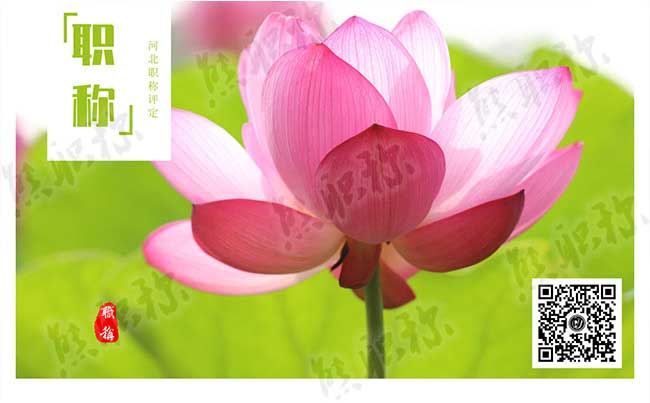 企事業(yè)單位改革后有沒有必要評職稱