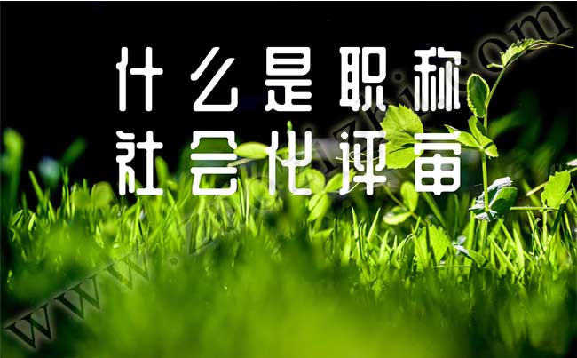 社會(huì)職稱(chēng)怎么申請(qǐng)