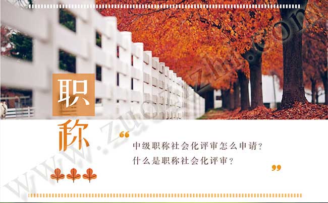 什么是職稱(chēng)社會(huì)化評(píng)審