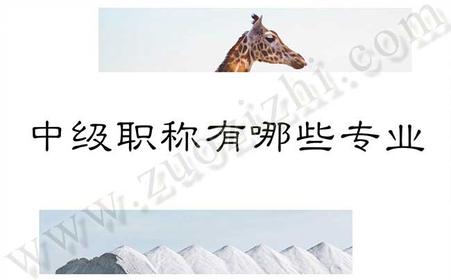 中級工程師評定時間