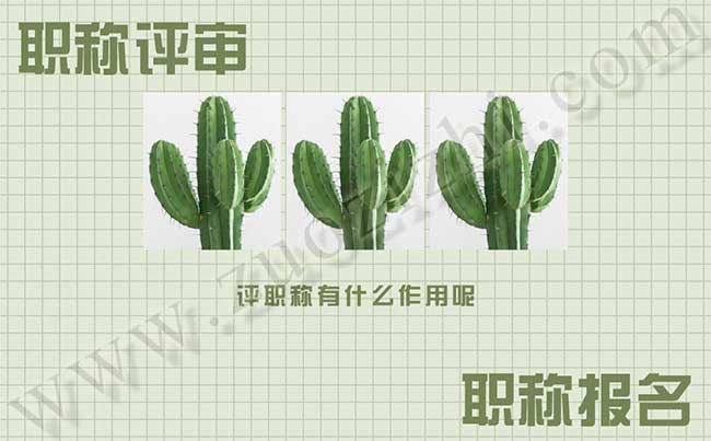 評(píng)職稱有什么作用呢 換地區(qū)以后職稱還可以用嗎