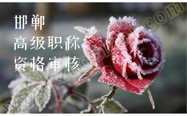 邯鄲高級職稱資格審核