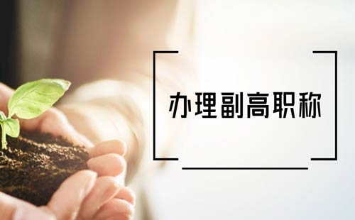辦理副高職稱(chēng)