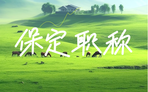 保定職稱 保定職稱