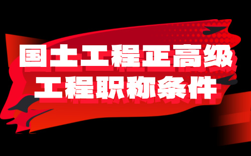 國(guó)土工程正高級(jí)工程
