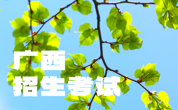 山東2025高考報名流程及要求