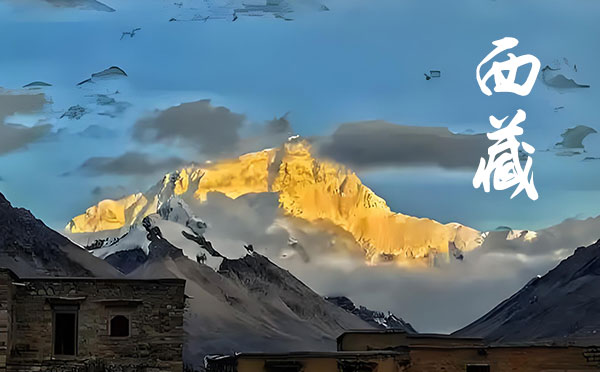 2024甘肅高考錄取結(jié)果