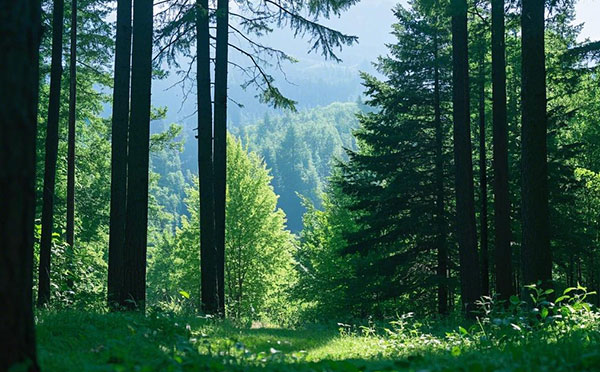 中級(jí)工程師職稱評(píng)定條件